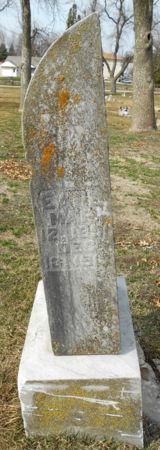 JAMES, EARL - Carroll County, Iowa | EARL JAMES 