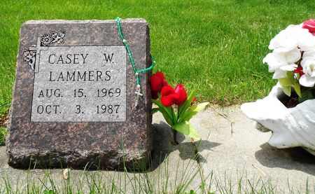 LAMMERS, CASEY W - Carroll County, Iowa | CASEY W LAMMERS 