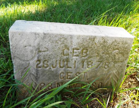 MOELLER, DORA - Carroll County, Iowa | DORA MOELLER 