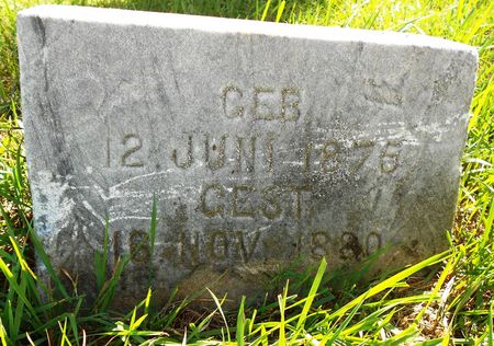 MOELLER, HEINRICH - Carroll County, Iowa | HEINRICH MOELLER 