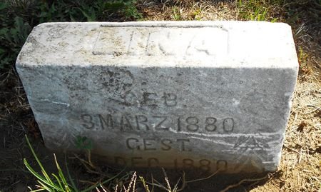 MOELLER, LINA - Carroll County, Iowa | LINA MOELLER 