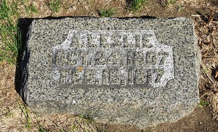 ROBSON, ALBERT LESLIE - Carroll County, Iowa | ALBERT LESLIE ROBSON 