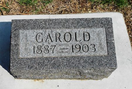 SAPP, GAROLD - Carroll County, Iowa | GAROLD SAPP 