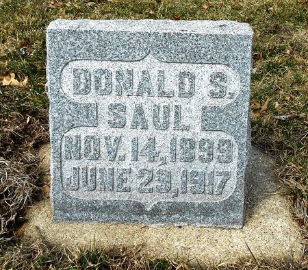 SAUL, DONALD STANDISH - Carroll County, Iowa | DONALD STANDISH SAUL 