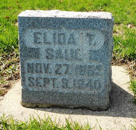 THOMAS SAUL, ELIDA J - Carroll County, Iowa | ELIDA J THOMAS SAUL 