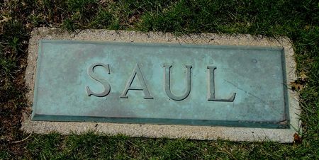 SAUL, FAMILY MEMORIAL - Carroll County, Iowa | FAMILY MEMORIAL SAUL 