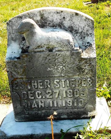STIEPER, ESTHER - Carroll County, Iowa | ESTHER STIEPER 