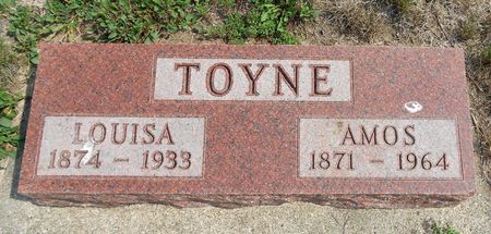 WHITING TOYNE, LOUISA - Carroll County, Iowa | LOUISA WHITING TOYNE 