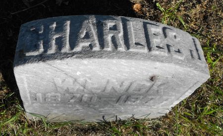 WENCK, CHARLES J - Carroll County, Iowa | CHARLES J WENCK 