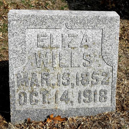 BOWDEN WILLS, ELIZA - Carroll County, Iowa | ELIZA BOWDEN WILLS 