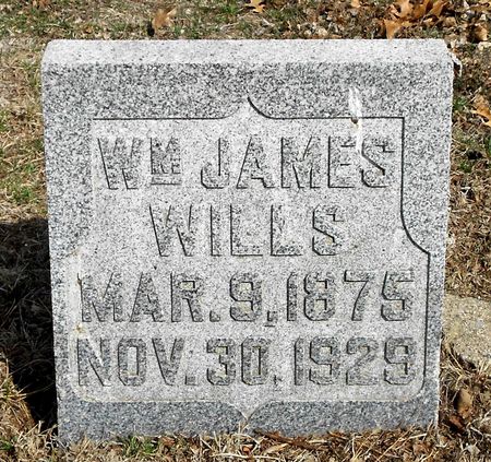 WILLS, WILLIAM JAMES - Carroll County, Iowa | WILLIAM JAMES WILLS 