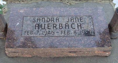 AUERBACH, SANDRA JANE - Cass County, Iowa | SANDRA JANE AUERBACH 