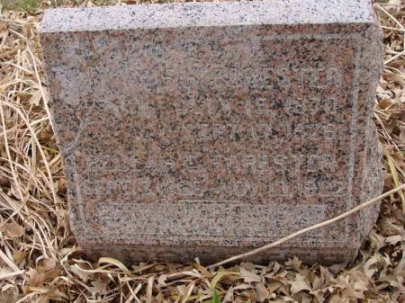 FORESTER, BEULAH E. - Cass County, Iowa | BEULAH E. FORESTER 