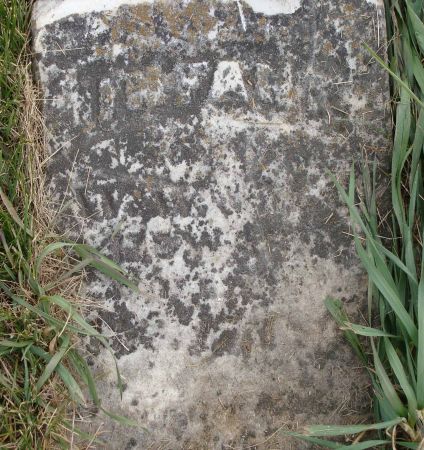 HOWARD, WALLACE W. - Cass County, Iowa | WALLACE W. HOWARD 