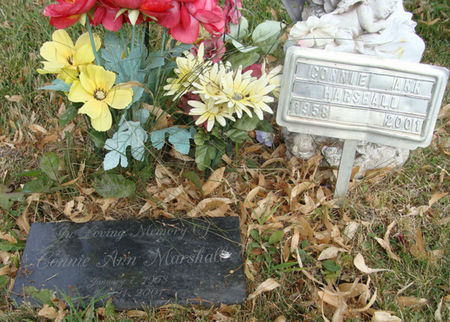 MARSHALL, CONNIE ANN - Cass County, Iowa | CONNIE ANN MARSHALL 