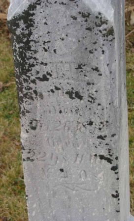 STRUTHERS, ANNIE - Cass County, Iowa | ANNIE STRUTHERS 