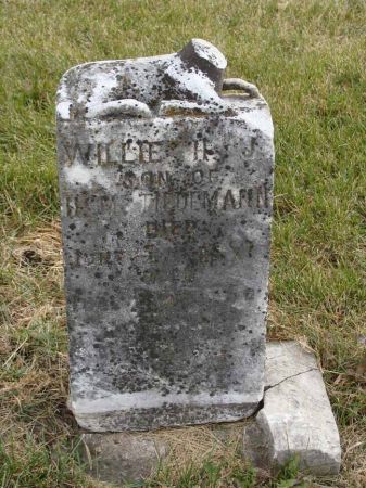 TIEDEMANN, WILLIE H. J. - Cass County, Iowa | WILLIE H. J. TIEDEMANN 