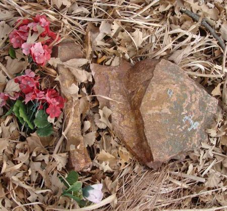 FORESTER, FAUSTA - Cass County, Iowa | FAUSTA FORESTER 