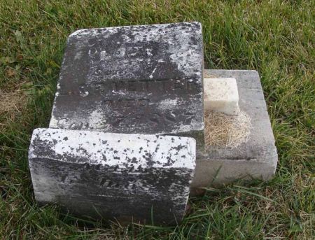 VETTER, LOUIS - Cass County, Iowa | LOUIS VETTER 