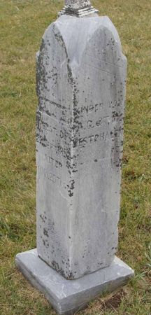 WESTPHALEN, MAX G. - Cass County, Iowa | MAX G. WESTPHALEN 