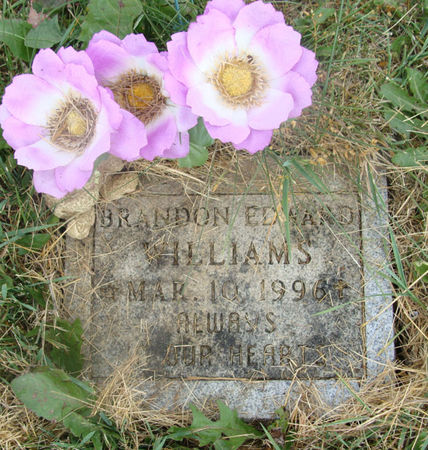 WILLIAMS, BRANDON EDWARD - Cass County, Iowa | BRANDON EDWARD WILLIAMS 