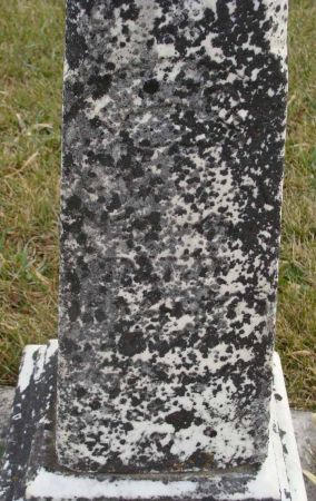 WOOD, TH?? - Cass County, Iowa | TH?? WOOD 