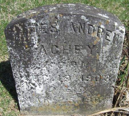 ACHEY, JAMES ANDREW - Cedar County, Iowa | JAMES ANDREW ACHEY 