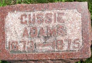 ADAMS, GUSSIE - Cedar County, Iowa | GUSSIE ADAMS 