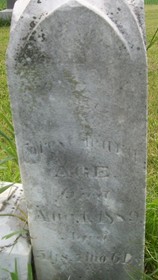 AGE, FOREST HENRY - Cedar County, Iowa | FOREST HENRY AGE 