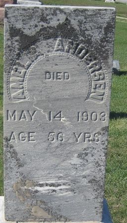 ANDERSEN, AMELIA - Cedar County, Iowa | AMELIA ANDERSEN 