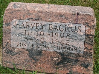 BACHUS, HARVEY W. - Cedar County, Iowa | HARVEY W. BACHUS 