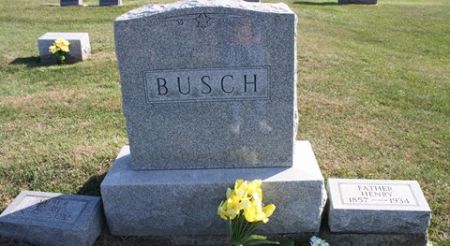BUSCH, HENRY - Cedar County, Iowa | HENRY BUSCH 