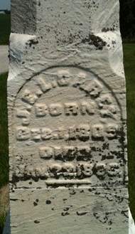 CAREY, JAMES E. L. - Cedar County, Iowa | JAMES E. L. CAREY 