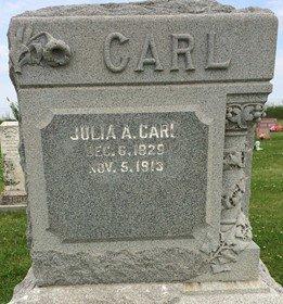 TAYLOR CARL, JULIA ANN - Cedar County, Iowa | JULIA ANN TAYLOR CARL 