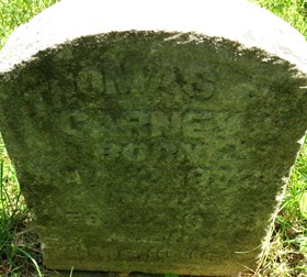 CARNEY, THOMAS F. - Cedar County, Iowa | THOMAS F. CARNEY 