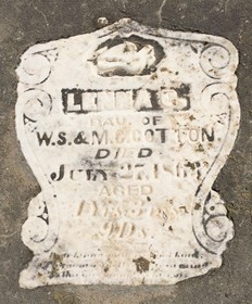 COTTON, LENNA C. - Cedar County, Iowa | LENNA C. COTTON 