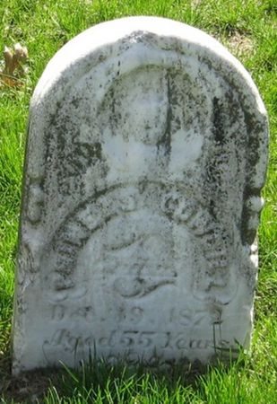 COWGILL, PHINEAS - Cedar County, Iowa | PHINEAS COWGILL 