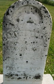 DAVIS, ARTHUR OWEN - Cedar County, Iowa | ARTHUR OWEN DAVIS 