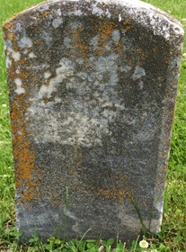 DAVIS, NETTIE - Cedar County, Iowa | NETTIE DAVIS 