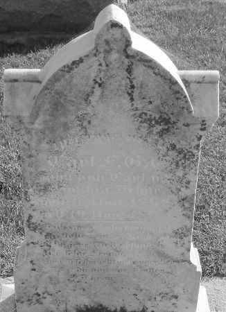 DEHNE, CARL F. G . C. - Cedar County, Iowa | CARL F. G . C. DEHNE 