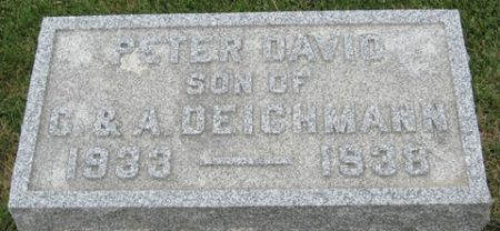 DEICHMANN, PETER DAVID - Cedar County, Iowa | PETER DAVID DEICHMANN 