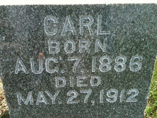 DRESSELHAUS, CARL - Cedar County, Iowa | CARL DRESSELHAUS 