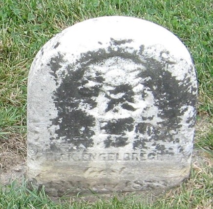 ENGELBRECHT, WILHELMINA - Cedar County, Iowa | WILHELMINA ENGELBRECHT 