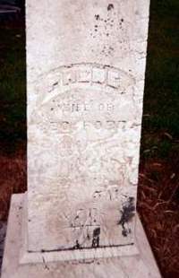 HUTCHINSON FORD, PHEBE - Cedar County, Iowa | PHEBE HUTCHINSON FORD 