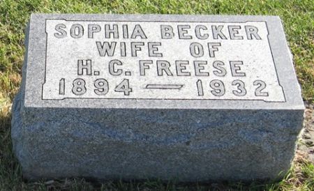FREESE, SOPHIA - Cedar County, Iowa | SOPHIA FREESE 