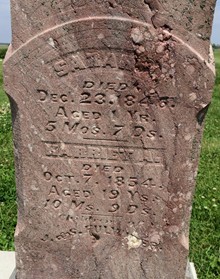 FULWIDER, SARAH VIRGINIA - Cedar County, Iowa | SARAH VIRGINIA FULWIDER 