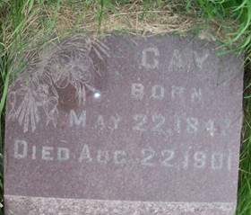 GAY, ANDREW - Cedar County, Iowa | ANDREW GAY 