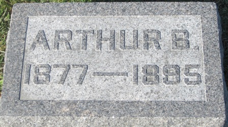 HALL, ARTHUR B. - Cedar County, Iowa | ARTHUR B. HALL 