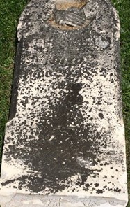 HAWK, JOHN - Cedar County, Iowa | JOHN HAWK 