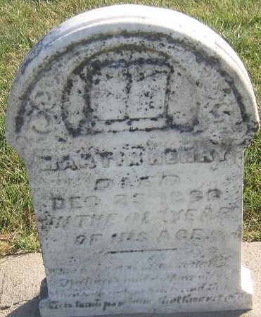 HENRY, MARTIN - Cedar County, Iowa | MARTIN HENRY 